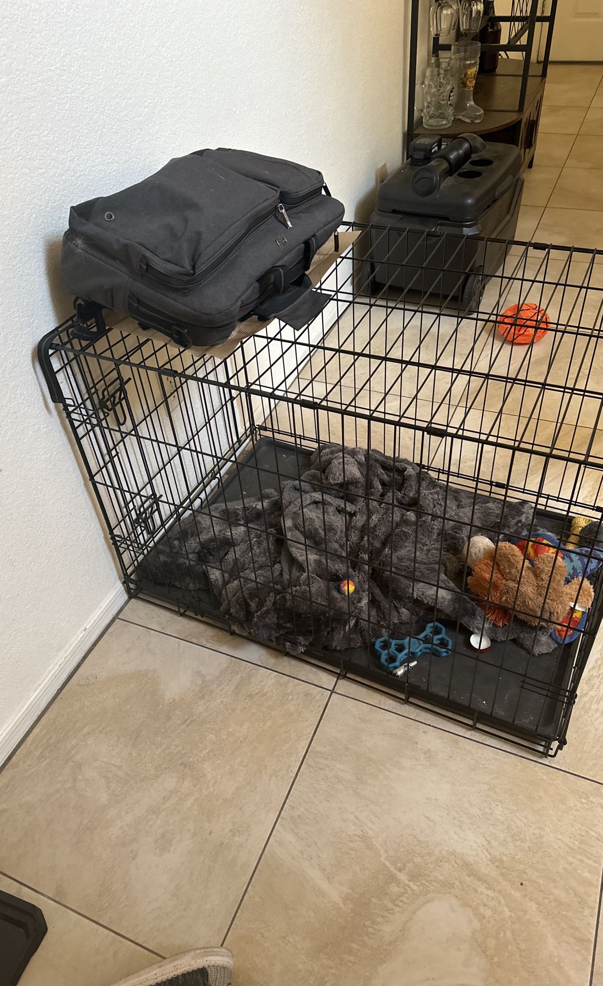 Dog Kennel