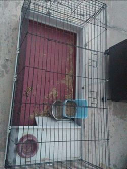rabbit cage