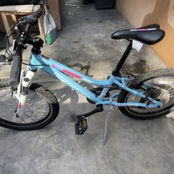 Schwinn cimarron 2024 for sale