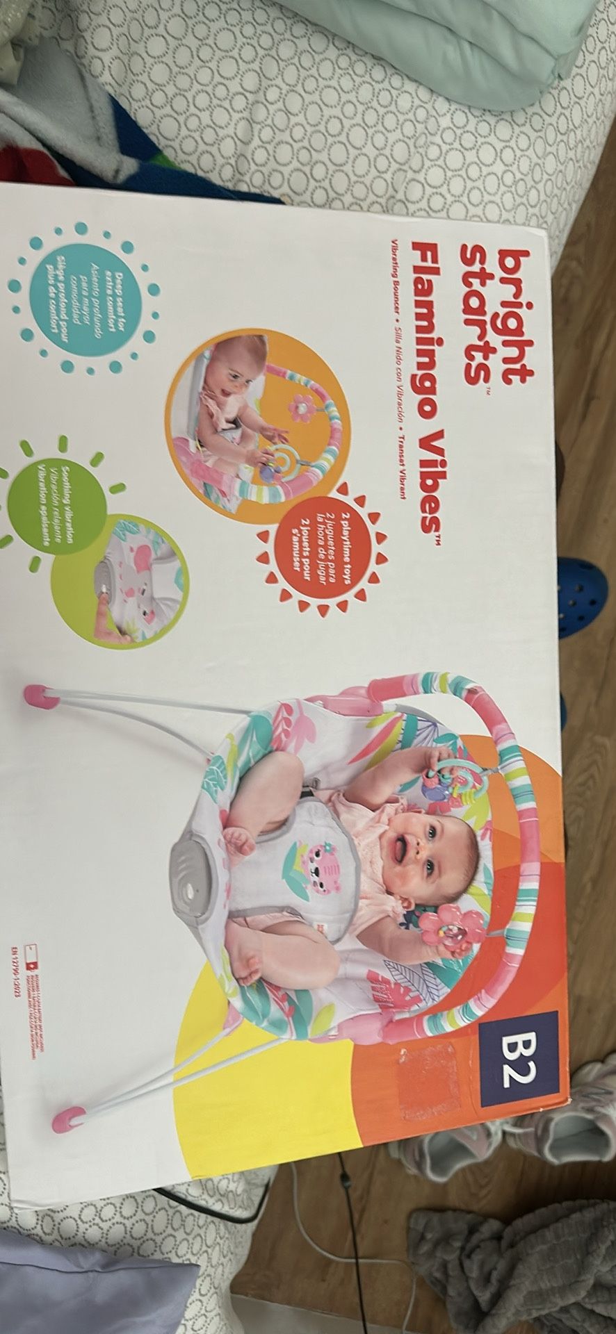 Bright Starts Flamingo Vibes