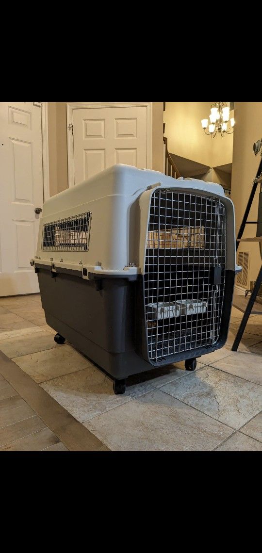 Plastic Travel IATA Approved Kennel