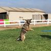 Diego