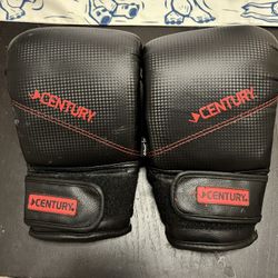 XL Boxing Gloves