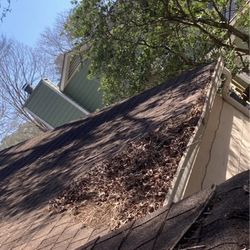 Gutter Cleaning 