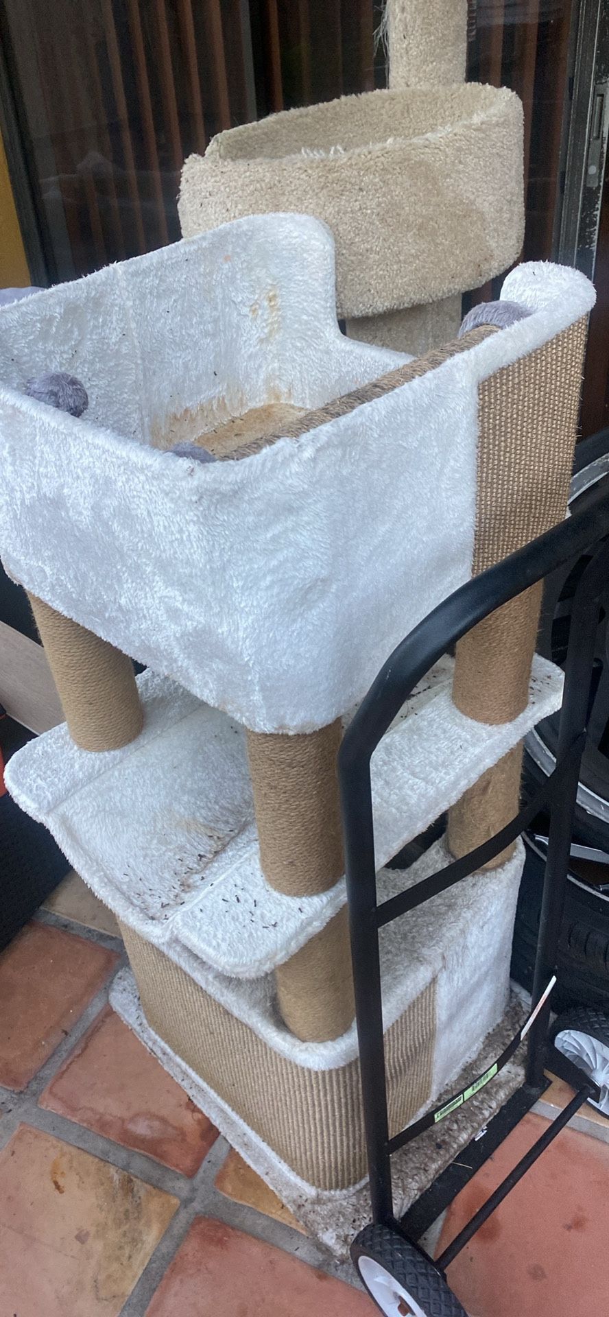 Cat Playground