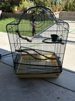 Bird Cage
