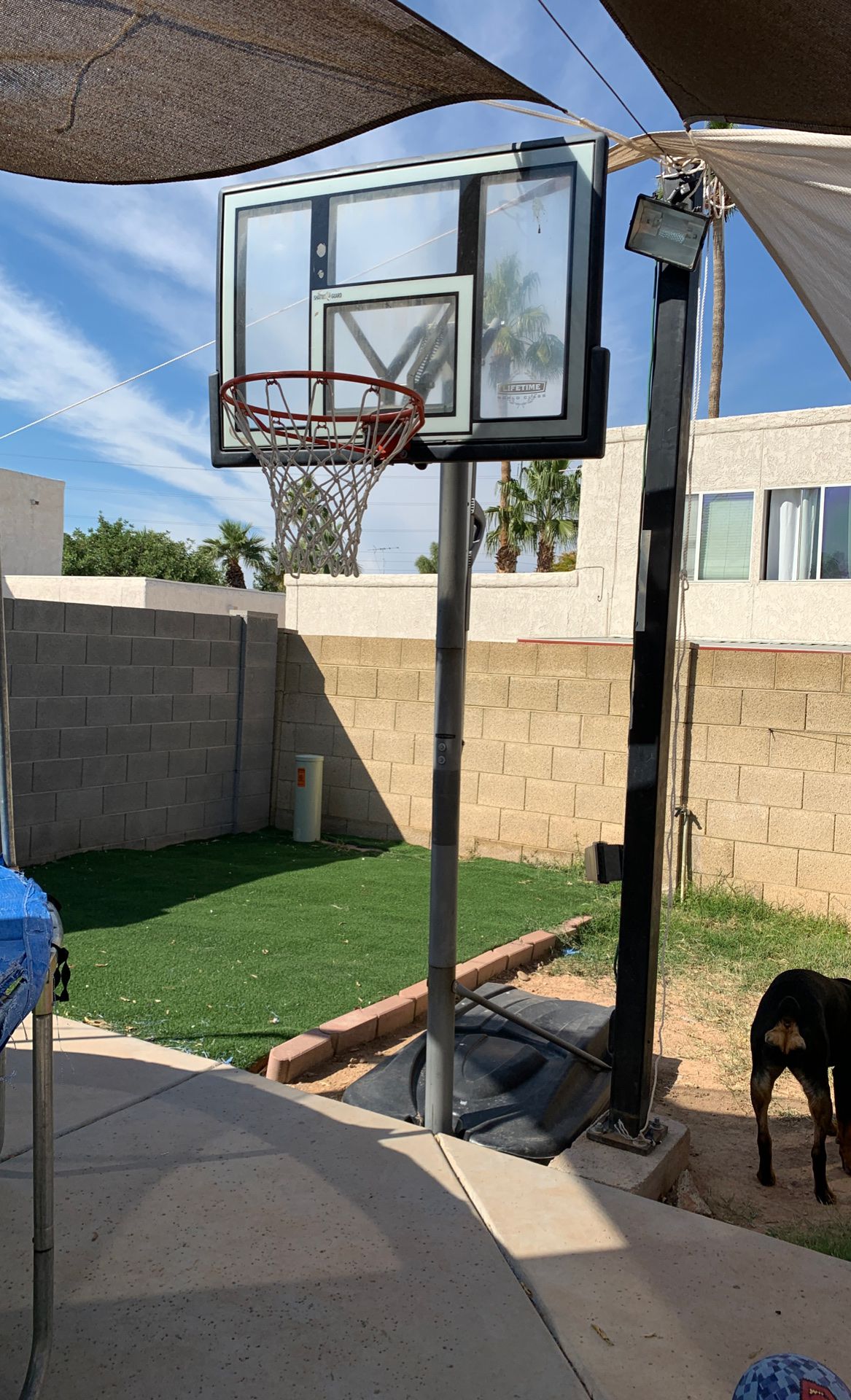 Basketball hoop adjustable