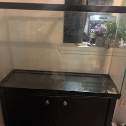 45 Gal (may Be Bigger) Fish Tank And Stand 
