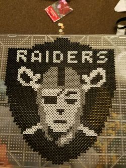Raider plastic sign