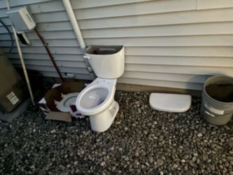Free toilet (standard)