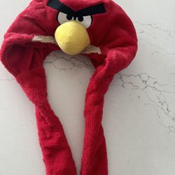Angry Bird Winter Cover