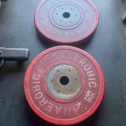 55 lbs  Olympic Bumper Weight Plates…. Home Gym Fitness….