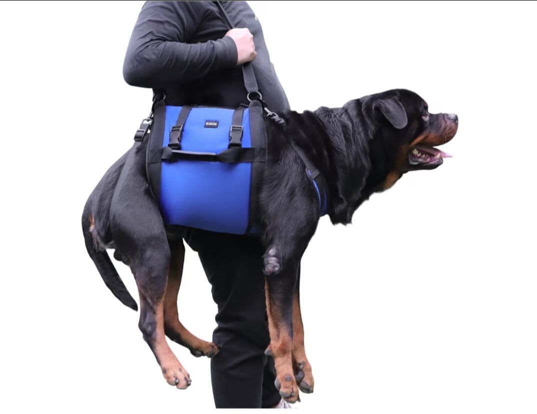 Dog Carry Sling, Emergency Backpack Pet Legs Support & Rehabilitation Dog Lift Harness for Large Dogs, Dog Carrier for Senior Dogs Joint Injuries, Art