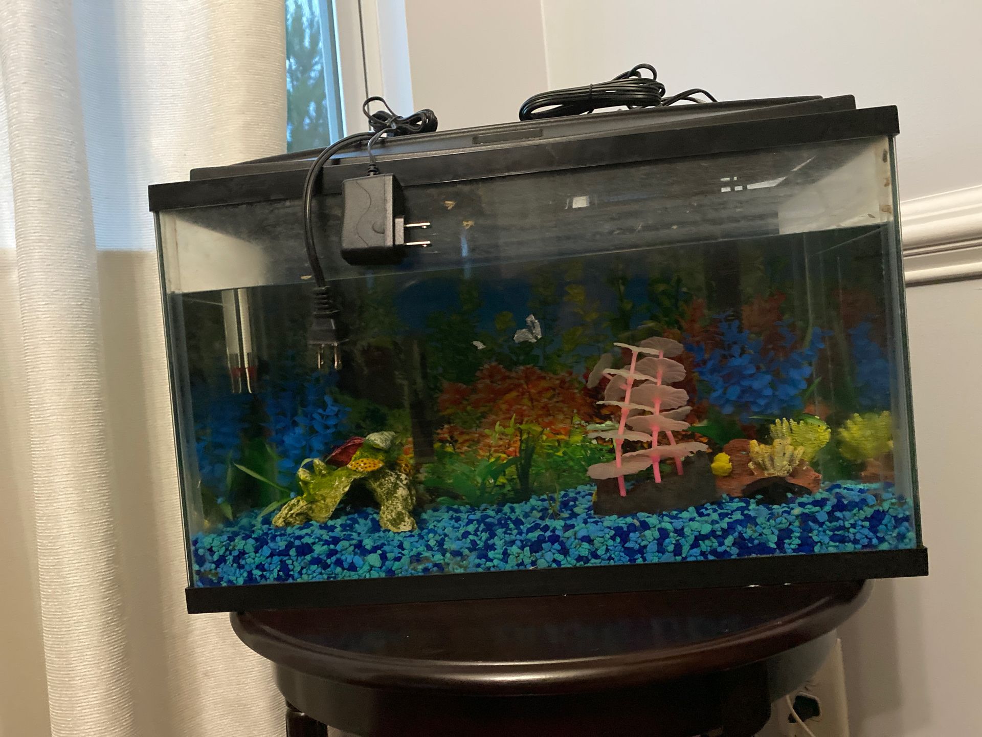 Fish Tank