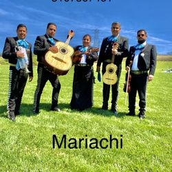 Guitarrón Arpa De Mariachi 