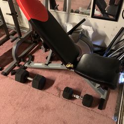 Workout Bench And Dumbbell’s 