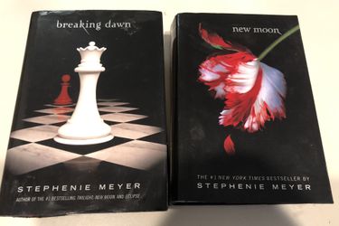Two Twilight Saga Books
