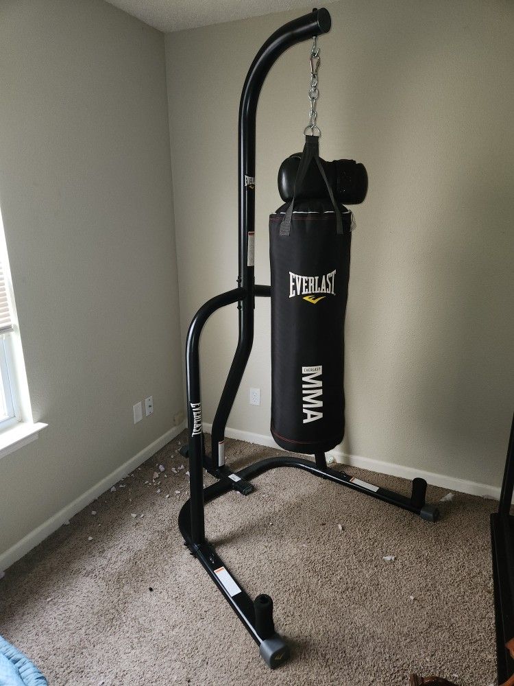 Everlast Punching Bag