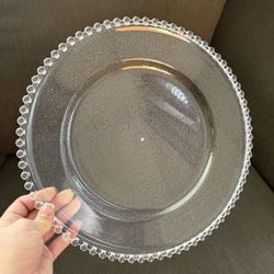 13in.  Acrylic Frosted Plates