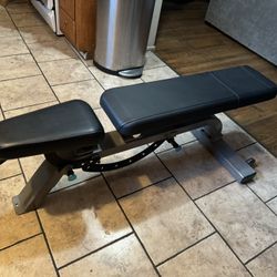 Precor Icarian Dumbbell Weight Bench 