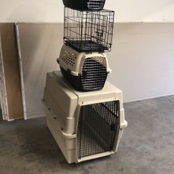 All size Dog gauges 1701 Union Blvd. Allentown PA 18109