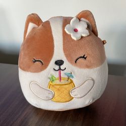 Cute Corgi Plushie