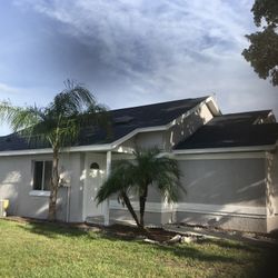 Pro Painter 35+ Yrs Experience 