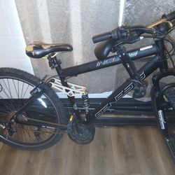 Two Seater Bike
