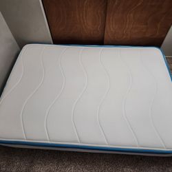 Full Sized Mattress 