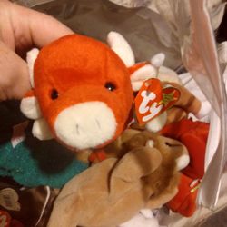 Snort Rare Beenie Baby Many More Rare Ones Also   MAKE OFFER!!!