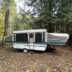 2004 StarCraft Special Edition 