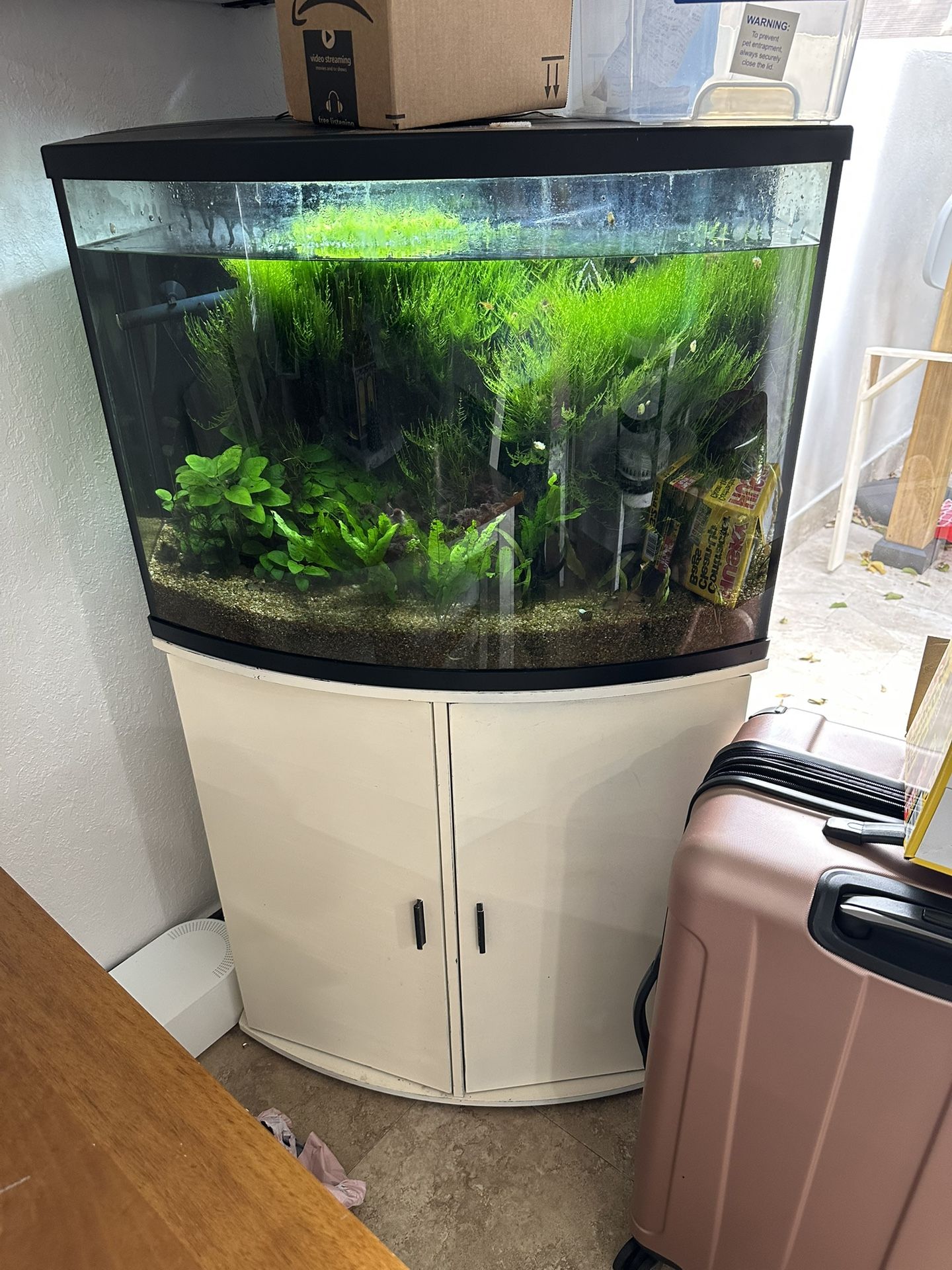 35 Gallon Fish Tank