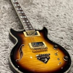 Ibanez Semi- Hollow Body Electric Guitar