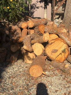 Wood