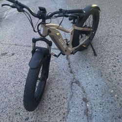 Electric E-bike 