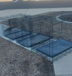 PET KENNELS