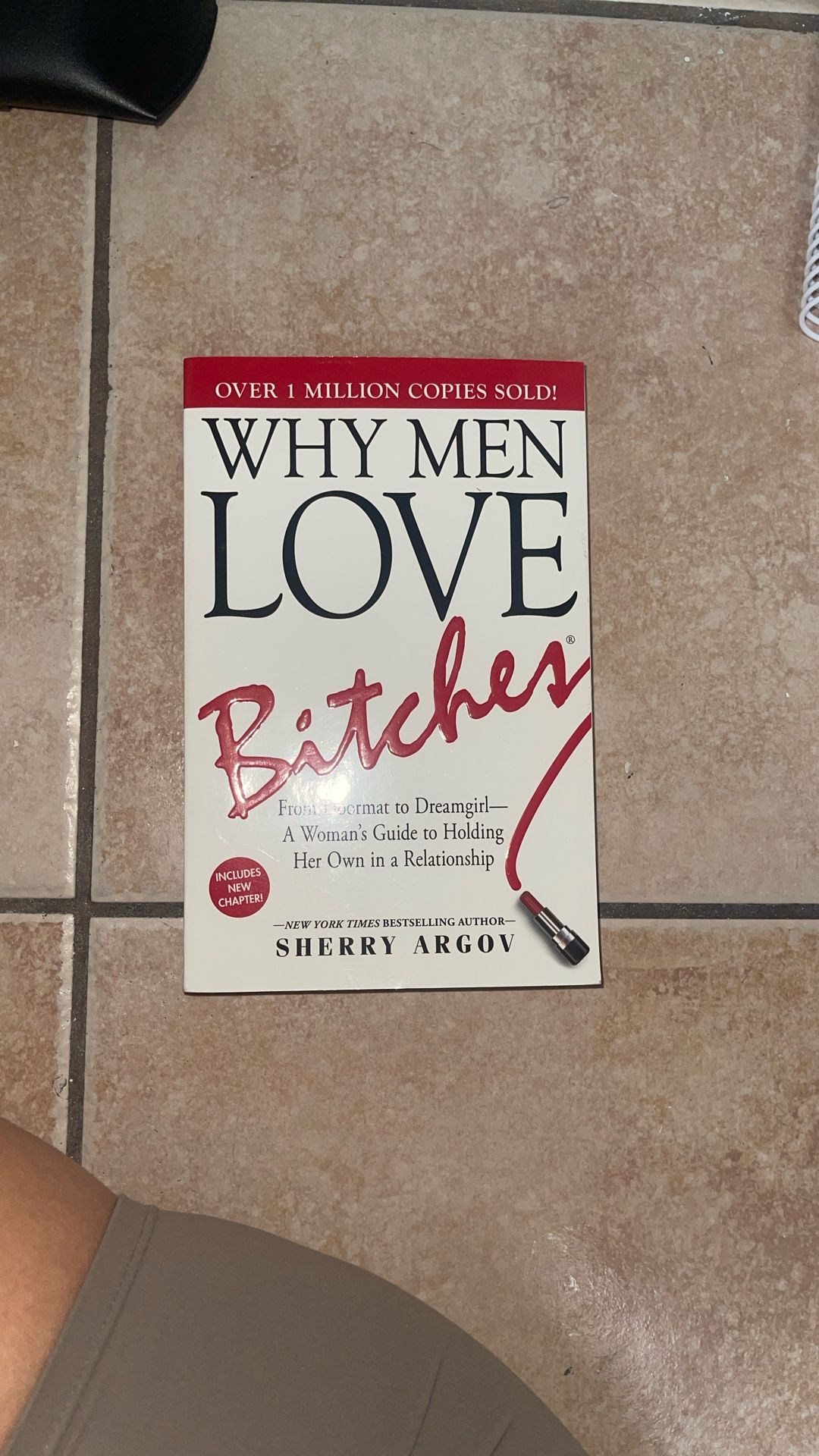 Why Men Love B***** Book