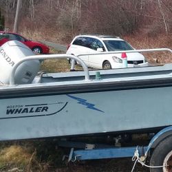 Boston Whaler 