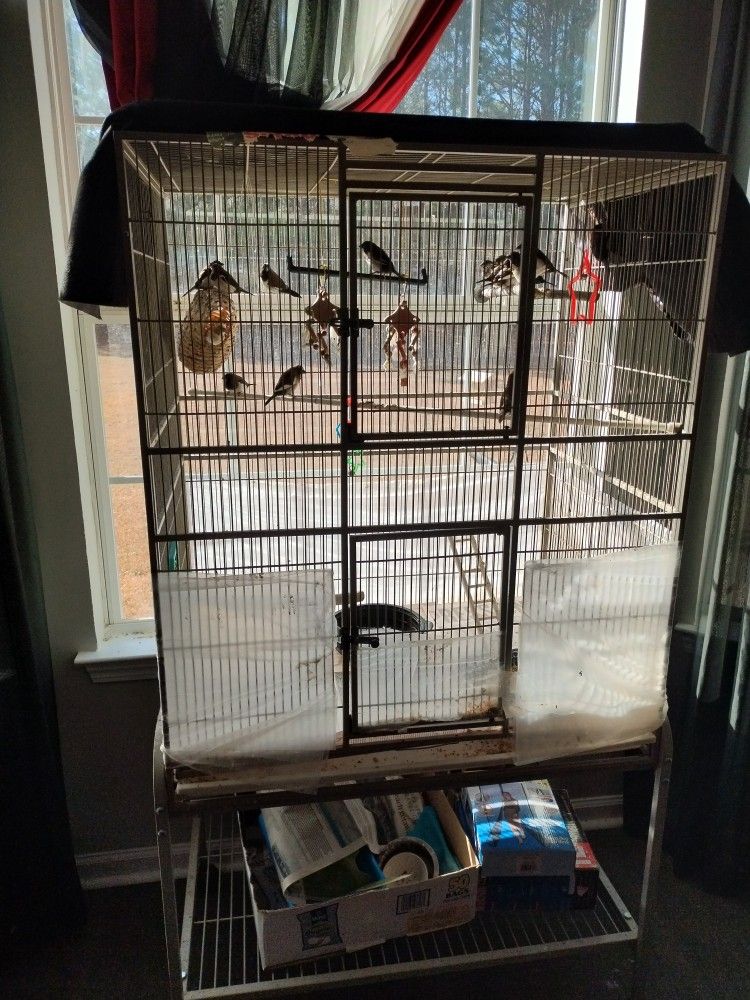 Bird Cage With Birds