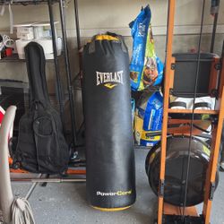 Everlast Punching Bag 70lbs