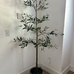 75 Artificial Sparse Olive Tree in Pot - Threshold™ Studio McGee 