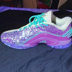 Brand New Nike LeBron 22 "Frozen Grapes" - Size 9.5