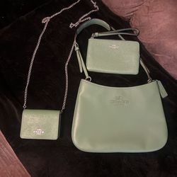 Coach purse full set