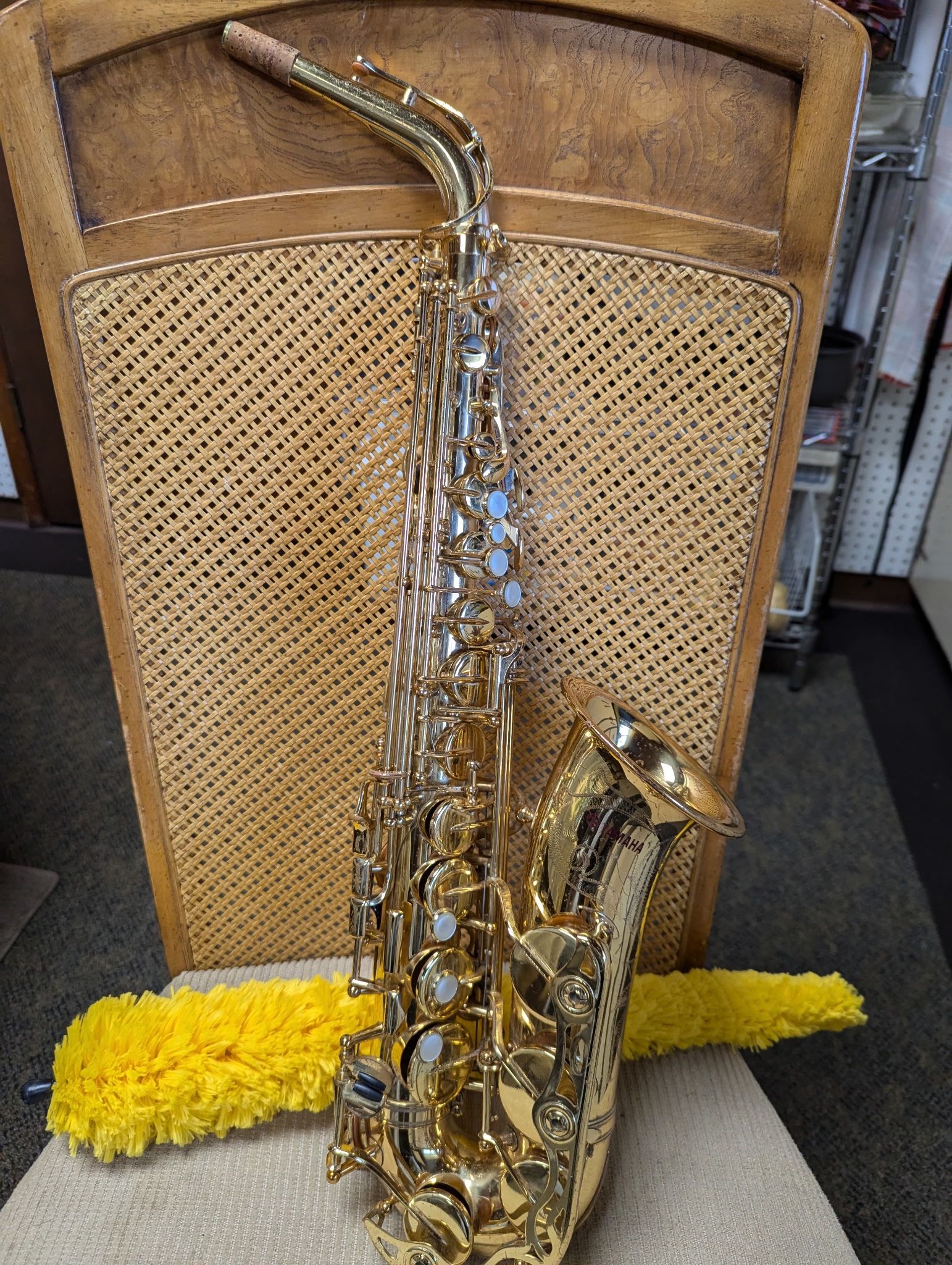 Professional Alto Saxophone For Sale!