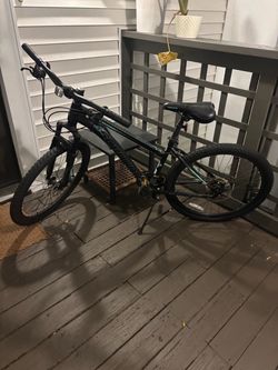 Mountain Bike (21 Speed)