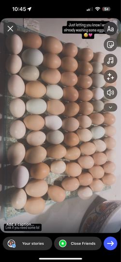 Farm Fresh Eggs $6 a dozen