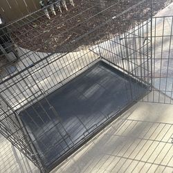 Large dog crate