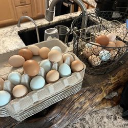 Fresh Eggs-Unwashed 