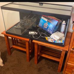 40 Gallon Fish Tank And Pump