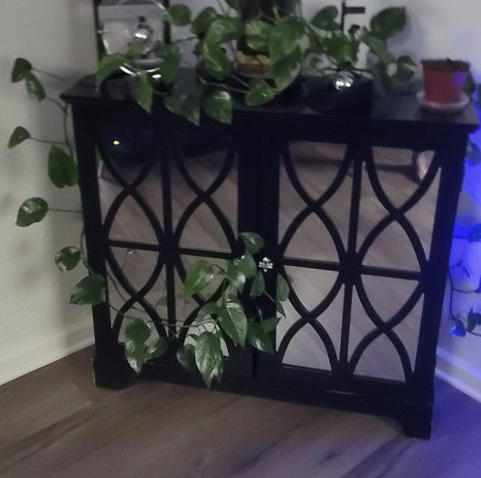 Mirror Cabinet Black